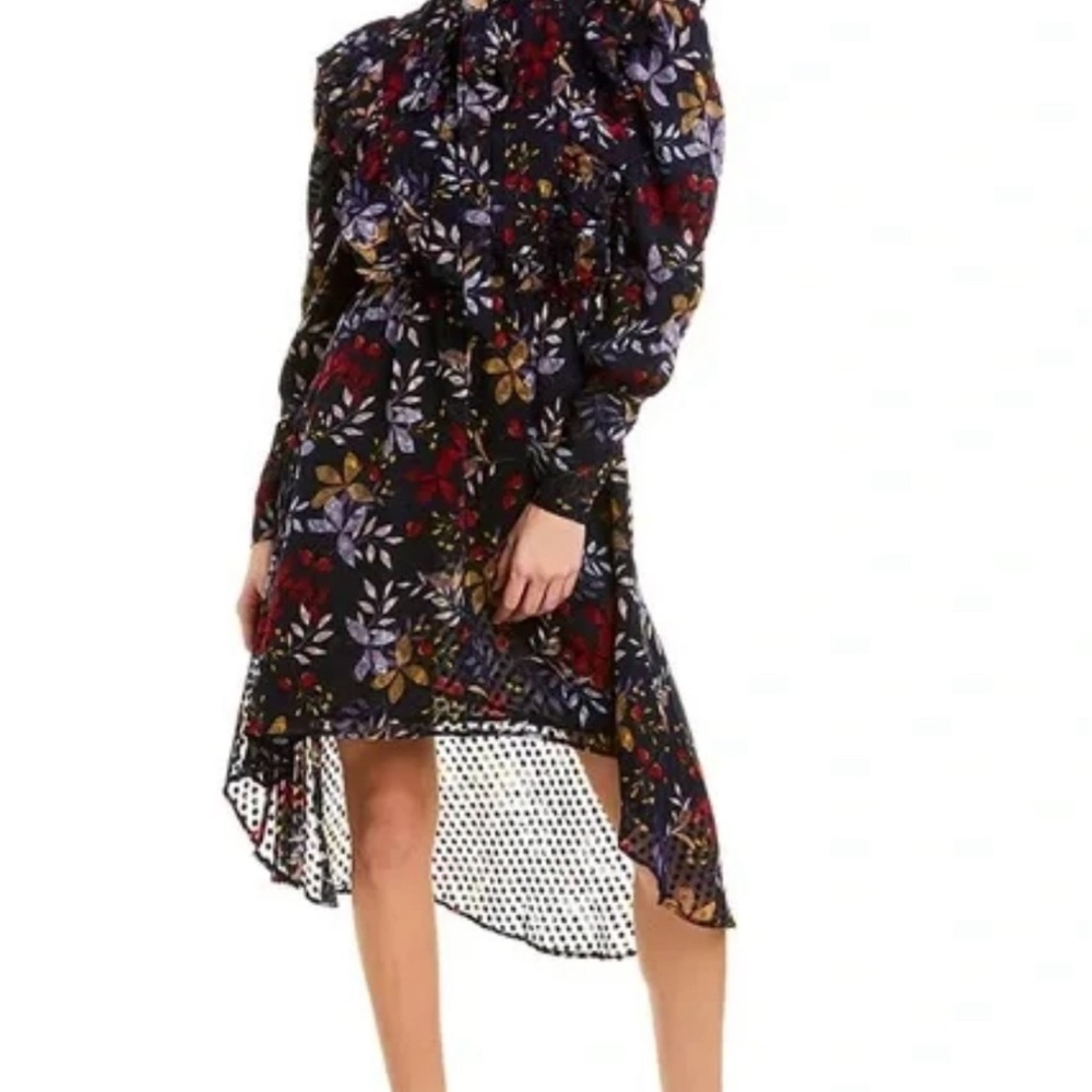 Walter Baker Zelie Asymmetrical Sheer Dress Polka Dot Dark Floral Moody Size L